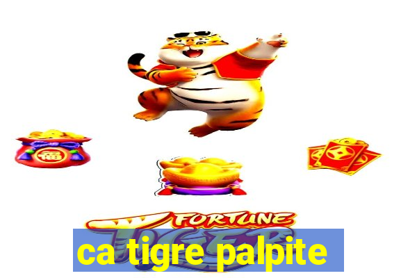 ca tigre palpite